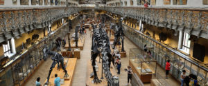 Muséum National d’Histoire Naturelle - Visite imaginaire